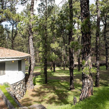 Vivienda Vacacional Finca La Redonda El Paso Eksteriør bilde